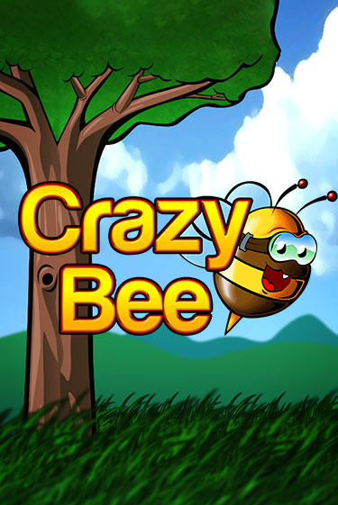 Бесплатная версия игры Crazy Bee | VAVADA KZ 