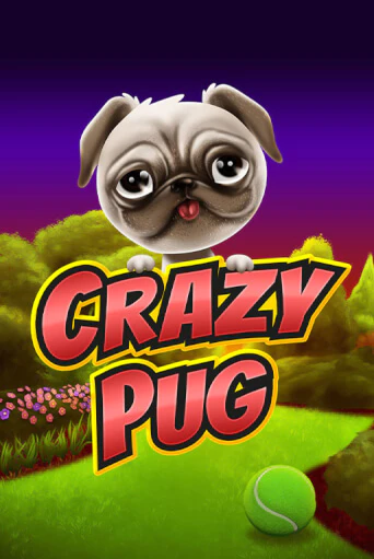 Бесплатная версия игры Crazy Pug | VAVADA KZ 