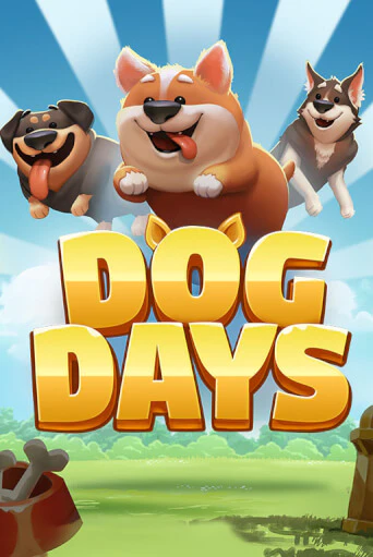 Бесплатная версия игры Dog Days | VAVADA KZ 