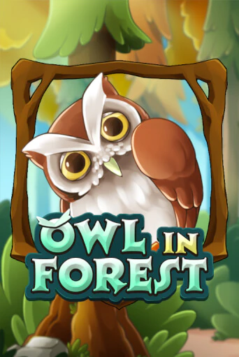 Бесплатная версия игры Owl In Forest | VAVADA KZ 