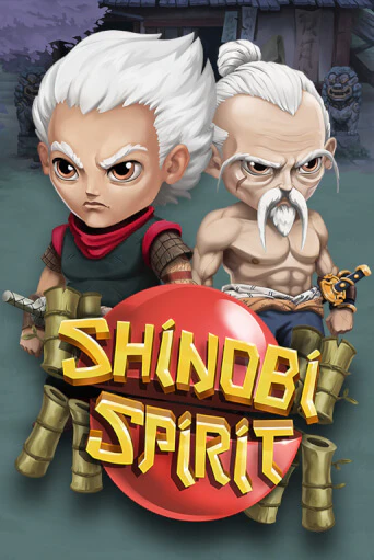 Бесплатная версия игры Shinobi Spirit | VAVADA KZ 