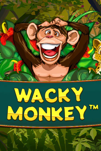 Бесплатная версия игры Wacky Monkey | VAVADA KZ 