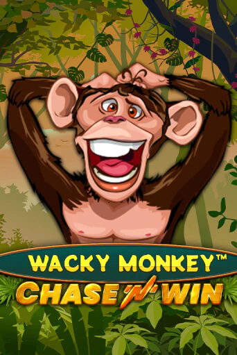 Бесплатная версия игры Wacky Monkey - Chase'N'Win | VAVADA KZ 