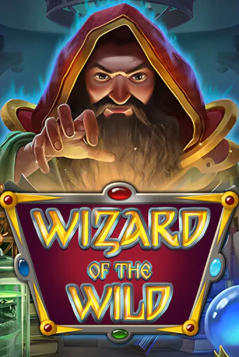 Бесплатная версия игры Wizard of the Wild | VAVADA KZ 