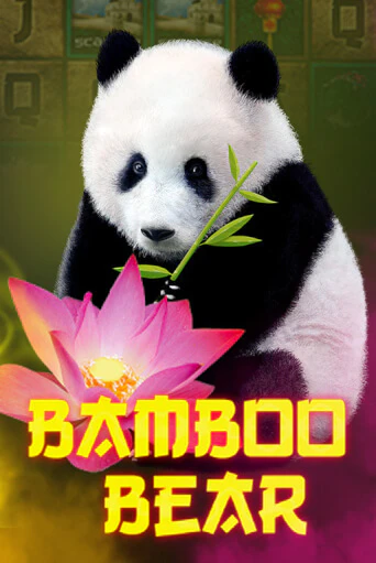 Бесплатная версия игры Bamboo Bear | VAVADA KZ 